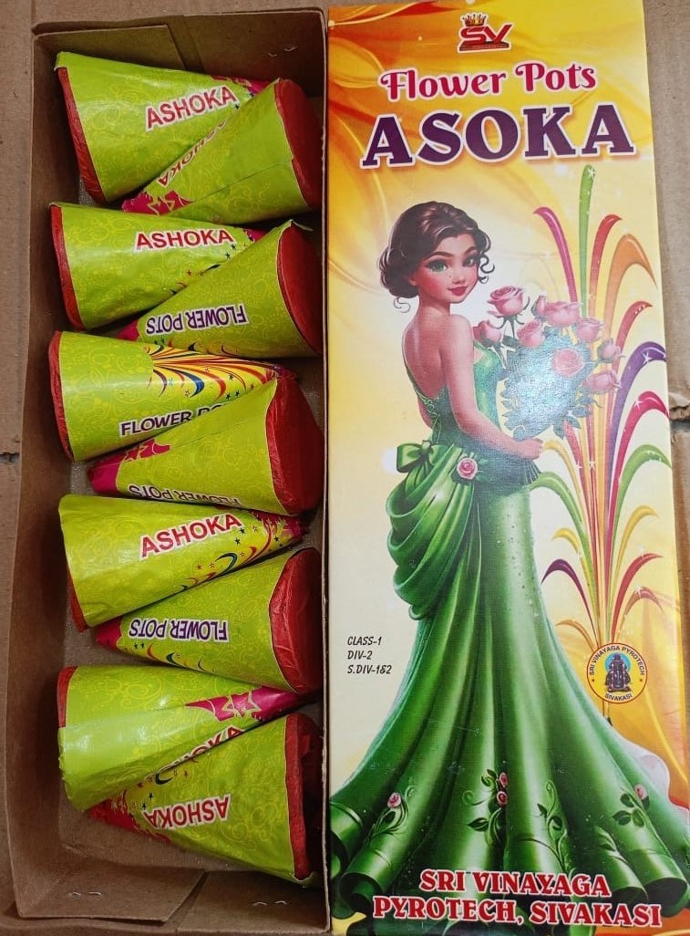 Flowerpot_ Ashoka